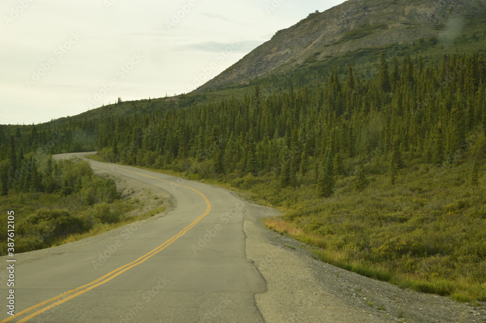 Fototapeta premium Road tripping and hiking in Northern Alaska and the Town of Chicken - USA