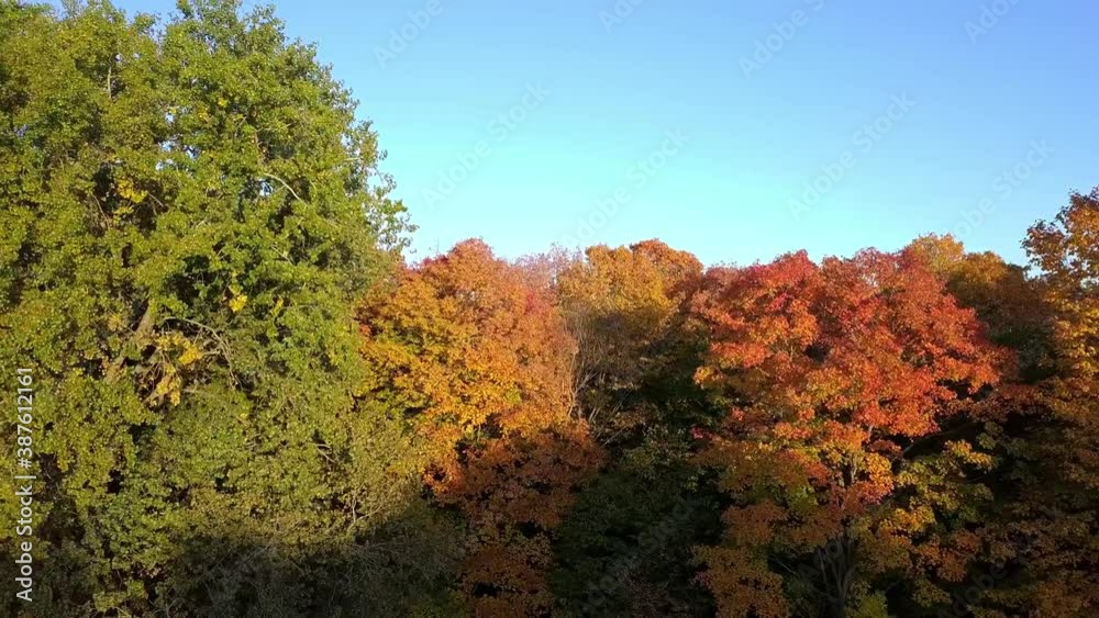 Panning with a drone from right to left near the trees with the colors of Autumn Panning with a drone from right to left near the trees with the colors of Autumn