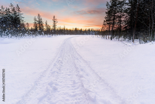 Track in deep snow from a snowmobile leads into the forest, while the sun is setting in Finnsih Lapland. Picture was taken in Pyha, Finland.