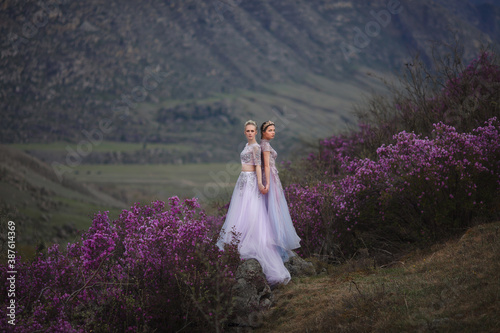 two fairies in lush dresses are walking in the pink rosemary blossom