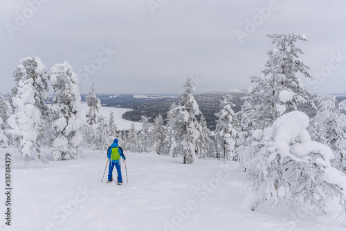 Hiker on snowshoes amongst frozen trees near Pyha in Lapland, Finland