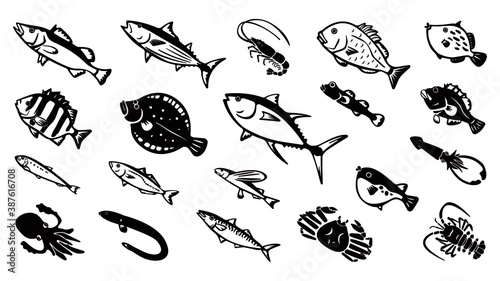 Japanese saltwater fish vector illust set