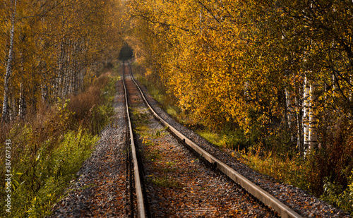 Old railway in autumn forest. Blurred background