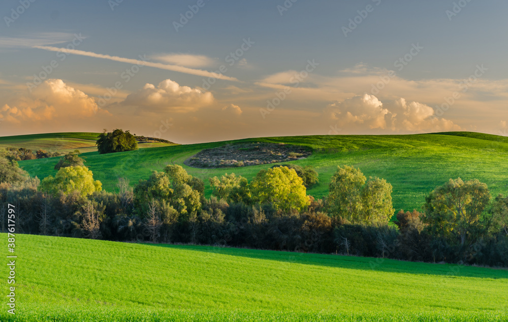 landscape with green field and sky