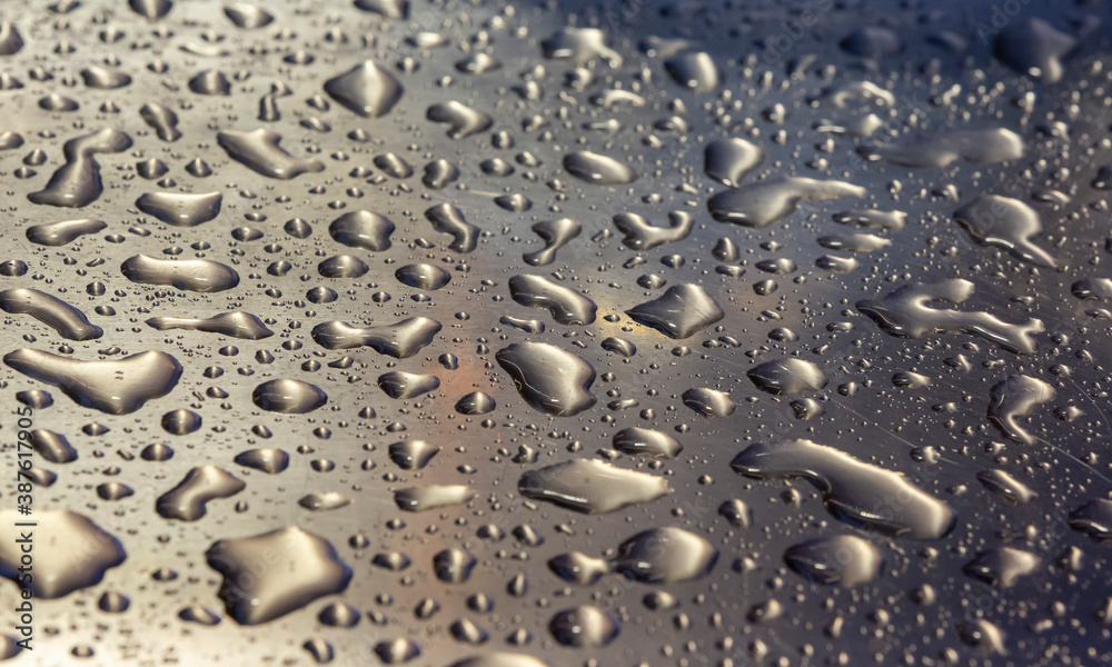 close up rain drops texture background close up rain drops texture background