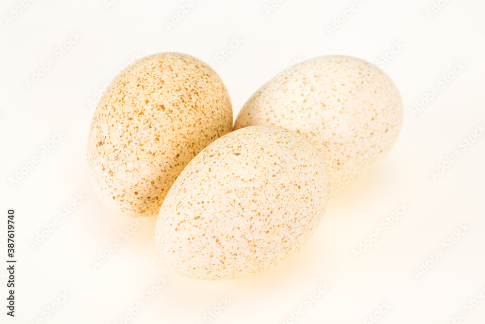 Three big raw turkey egg