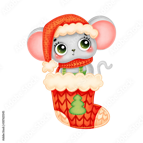 Illustration of cute cartoon christmas mouse in red hat and scarf in red christmas sock isolated on white background