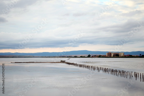 the salty lake Pomorie. a swarm of sea gulls is sitting on a multiple wooden polls stucked into a salt water pond used for salt extraction