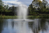 Bright fountain on the lake in the park, on a sunny autumn day.