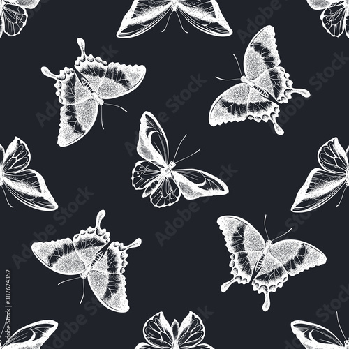 Seamless pattern with hand drawn chalk wallace s golden birdwing, emerald swallowtail, swallowtail butterfly