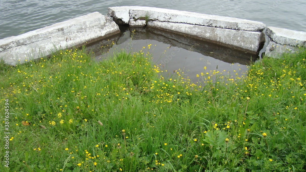 accumulated water along the lake shore against the background of green grass