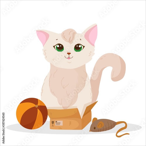 cute and fluffy kitten sitting in a box, pet, white plump cat with green eyes, vector illustration isolated on a white background