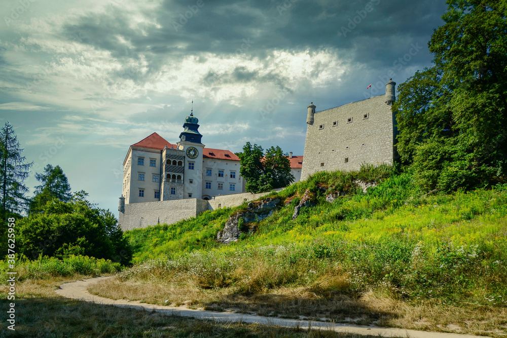 Fototapeta premium Pieskowa Skala Castle - a castle in the village of Suloszowa, Poland.