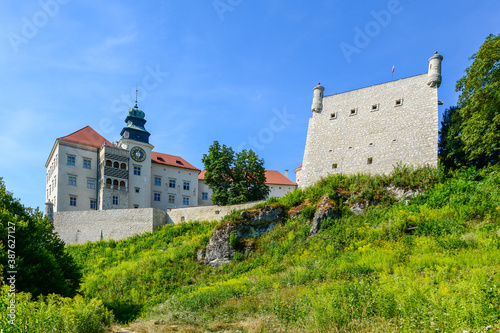 Pieskowa Skala Castle - a castle in the village of Suloszowa, Poland.