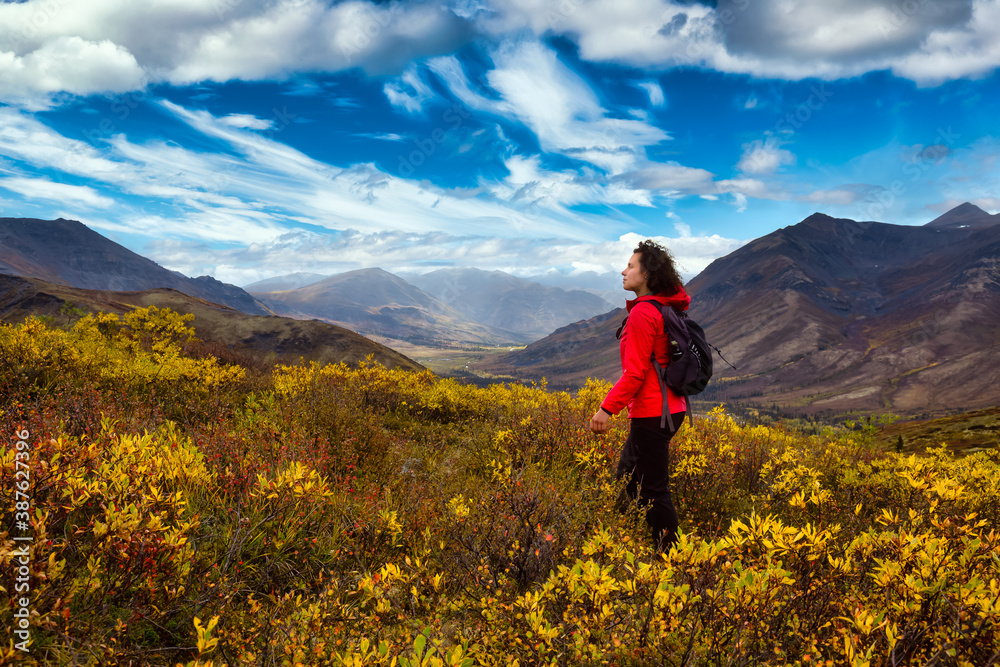 Scenic View of Girl Hiking on a Cloudy Fall Day in Canadian Nature. Taken in Tombstone Territorial Park, Yukon, Canada.