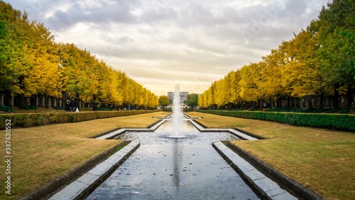 Beautiful Gingo park in Japan during autumn. Tokyo - Japan
