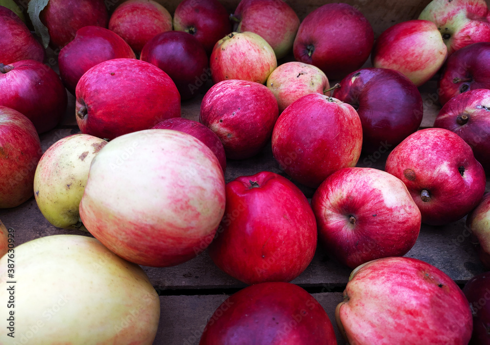 a bunch of yellow and red apples close up a bunch of yellow and red apples close up