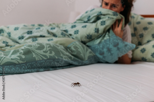 Woman in bedroom terrified by big spider crawling over her bed