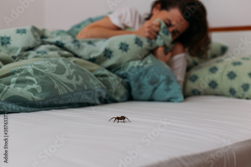 Woman in bedroom terrified by big spider crawling over her bed