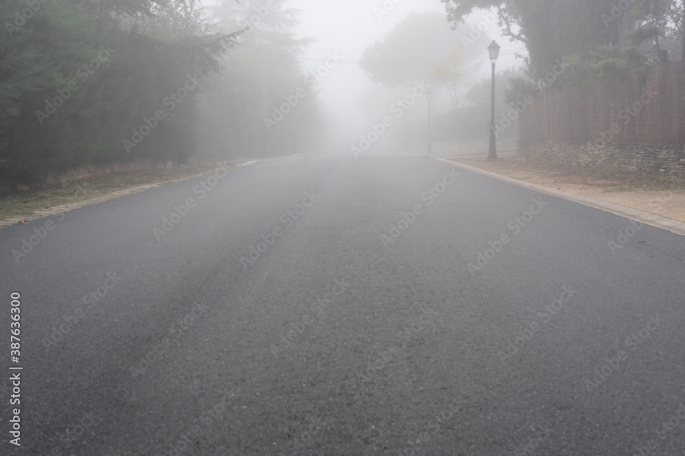 A foggy road with street lights and trees