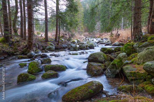 Endless stream. Mountain river in forest. Slovakia