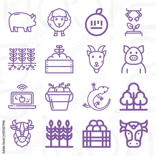 16 pack of livestock  lineal web icons set