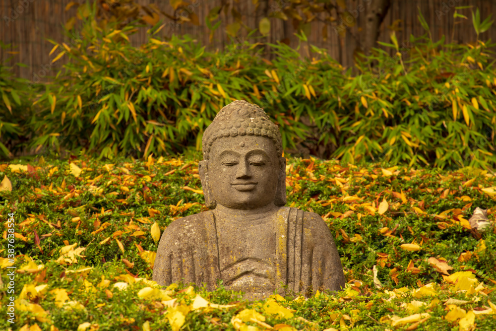 Zen Garten im Herbst