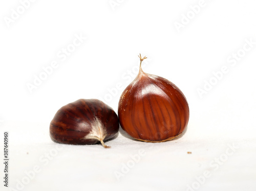 chestnuts isolated for background