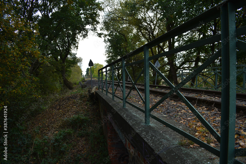 Obraz premium a railroad bridge in the middle of forest on the trekking road