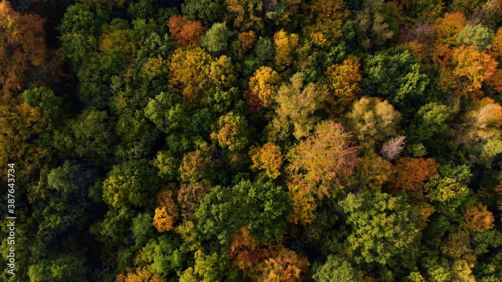 Beautiffull Autumn drone fly over the trees and fields Beautiffull Autumn drone fly over the trees and fields