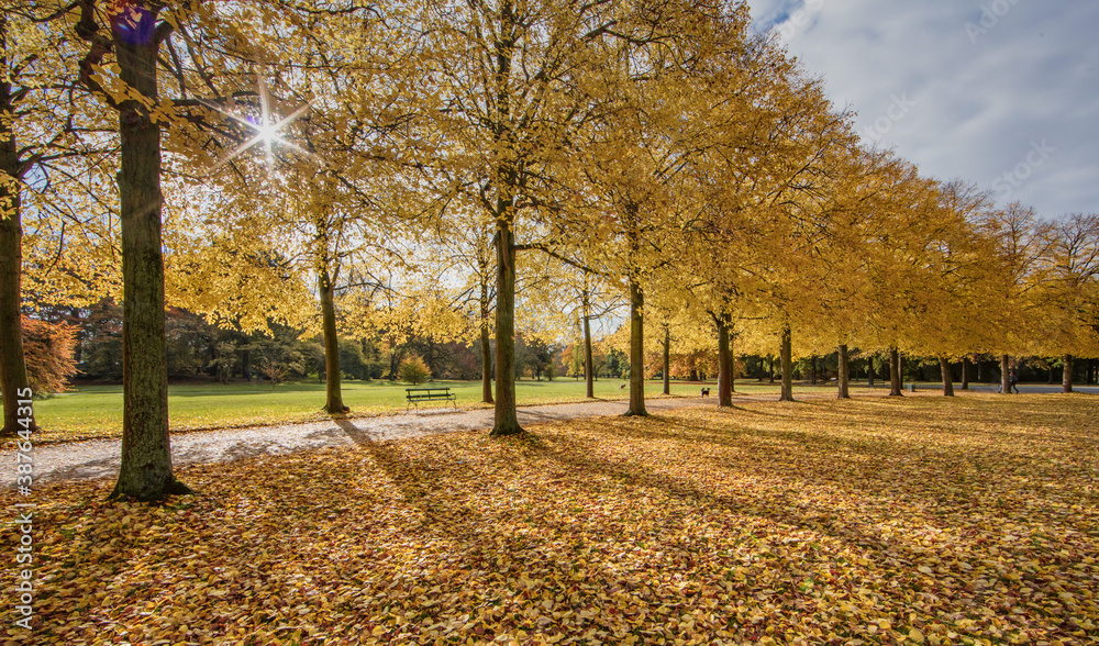 herbst herbst