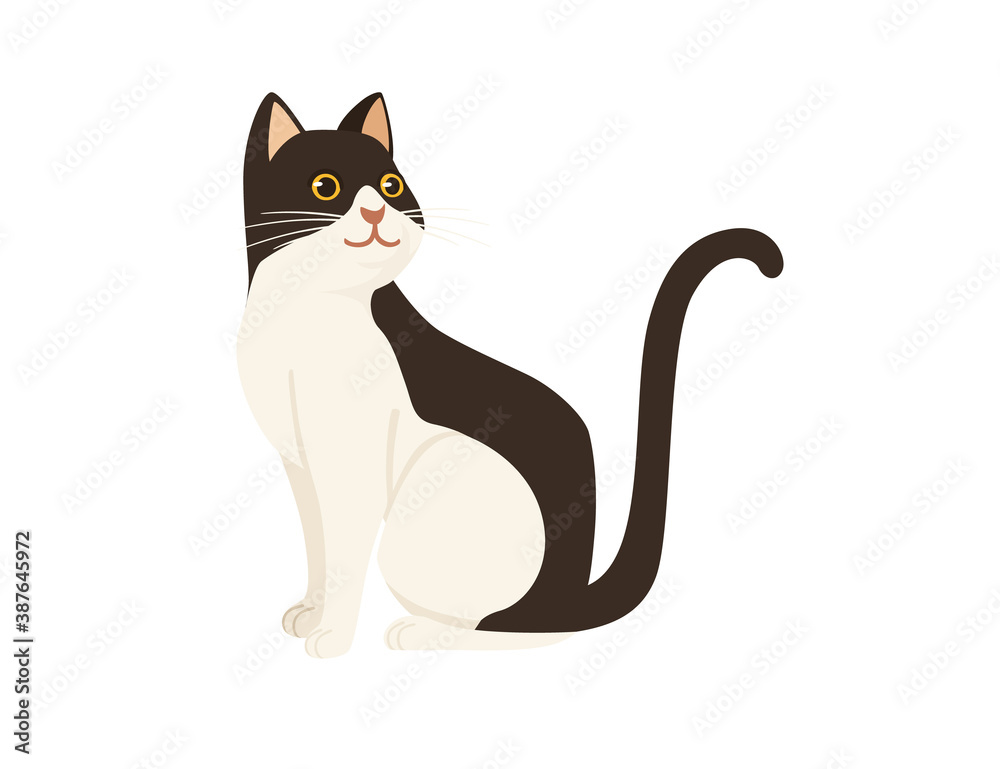 Cute cartoon animal design white and brown domestic cat adorable animal flat vector illustration