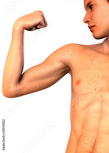 The Boy's Muscle - 3D