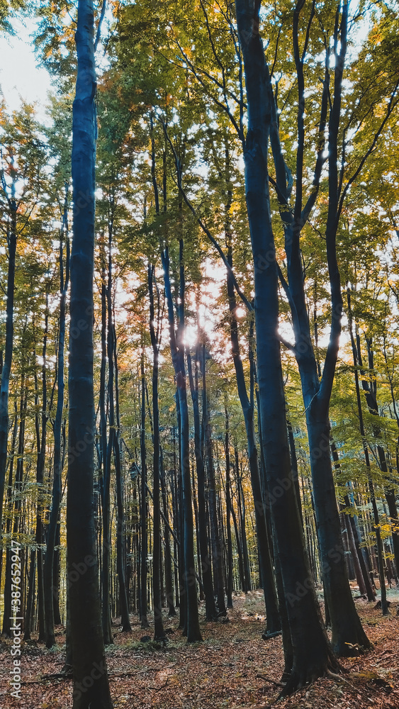 Fototapeta premium Myrafalle waterfalls