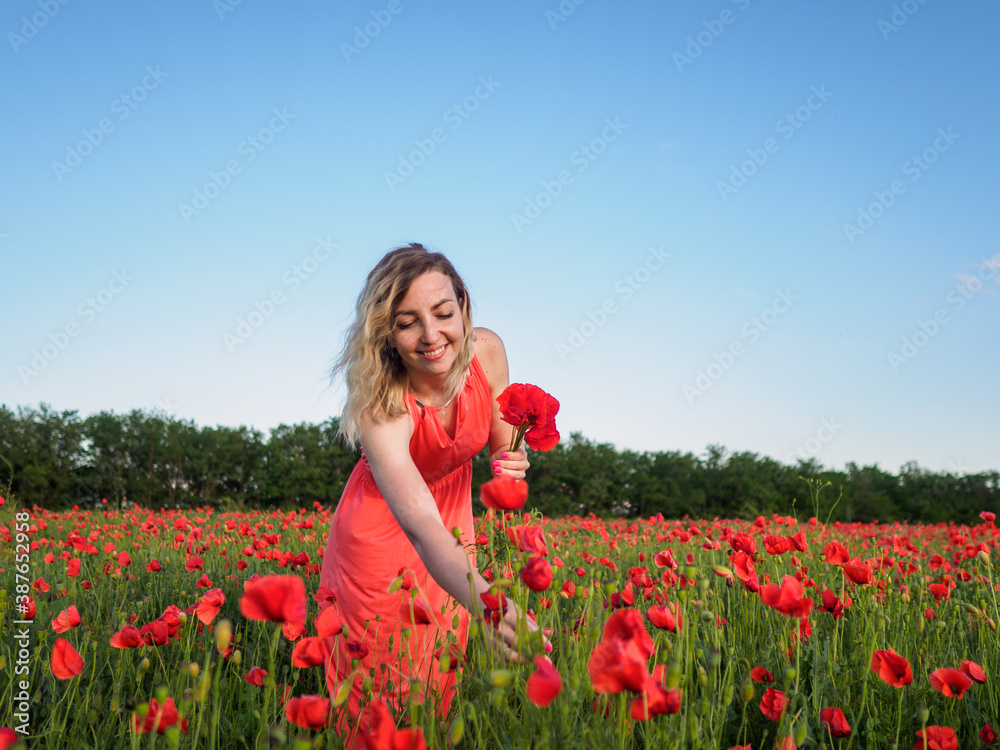 Young girl in a red dress in a poppy field
Young girl in a red dress in a poppy field