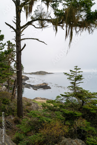 Trees frame Deadman Island near Shark Reef Sanctuary, Lopez Island, Washington, USA © davidrh