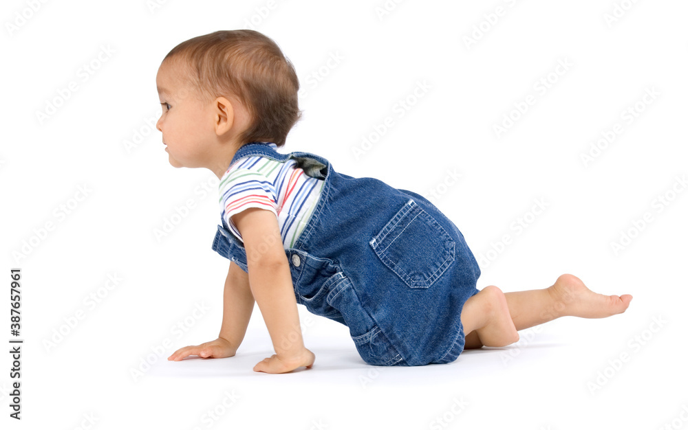 A crawling baby boy dressed in overalls and isolated on white background A crawling baby boy dressed in overalls and isolated on white background