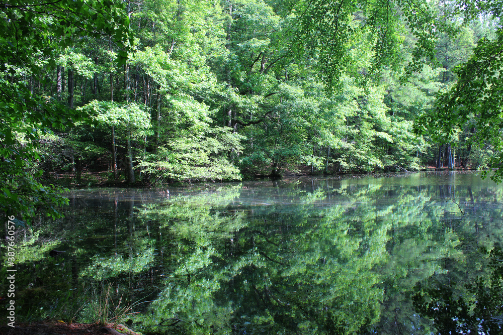 The beauty of nature is all around us. The beauty of nature is all around us.