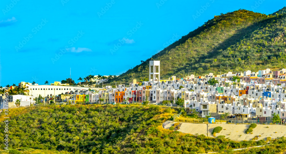 Fototapeta premium Mexican Village Cardon Cactus Sonoran Desert Baja Los Cabos Mexico