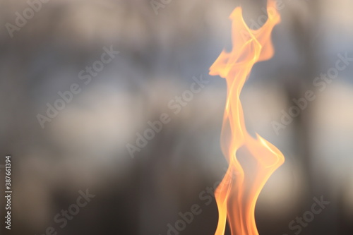 Принти на полотні A lonely flame burns beautifully on a gray background