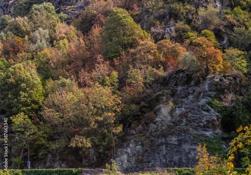 Fall colors in the mountains of Corsica