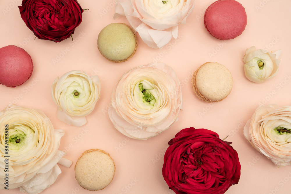 Light Blush Ranunculus Blush ranunculus floral flat lay Stock Photo | Adobe Stock