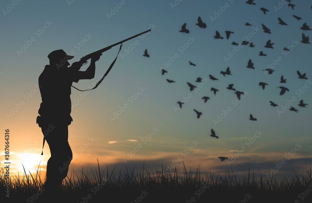 Silhouette of a hunter with a gun against the sun, an ambush for ducks. Silhouette of a hunter with a gun against the sun, an ambush for ducks.