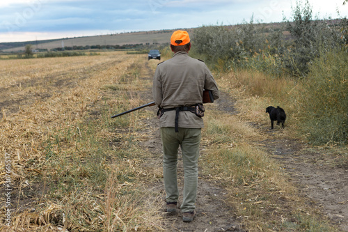Pheasant hunter with shotgun walking through a meadow. .Rear view of a man with a weapon in his hands.