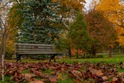 Empty Bench Among the Fall Colours