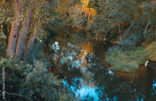 River and yellow trees. Beautiful landscape. Ebro river.