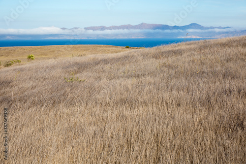 Landscape view of Santa Rosa Island during the day in Channel Islands National Park  California .
