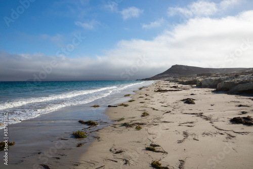 Landscape view of Santa Rosa Island during the day in Channel Islands National Park  California .