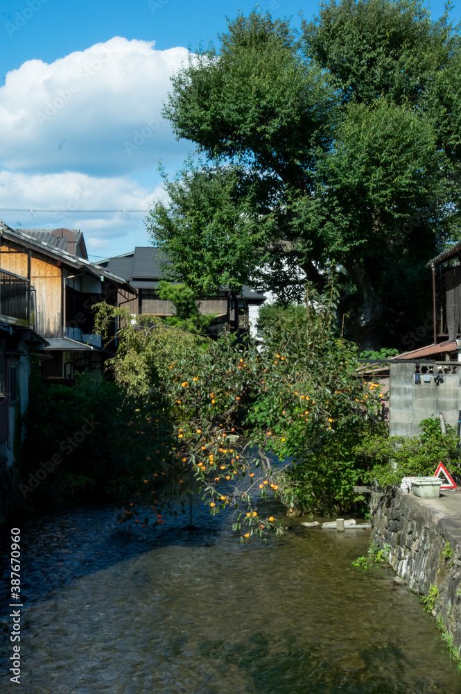 京都 東山界隈 京都 東山界隈