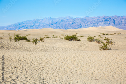 Landscape view of the Mesquite Sand Dunes during the day in Death Valley National Park (California).